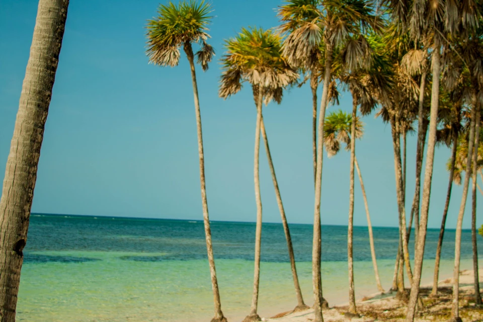 23544505372_faba017f05_o.jpg 23544505372_faba017f05_o.jpg